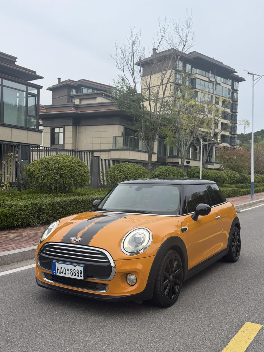 MINI MINI