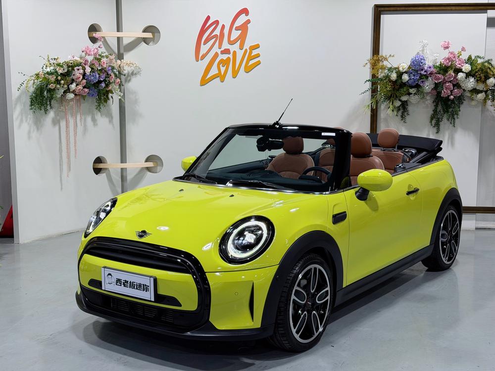 MINI MINI