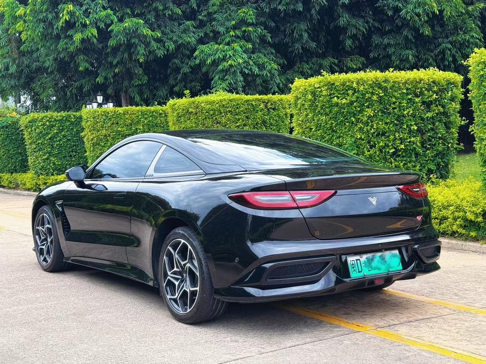 Neta Neta GT