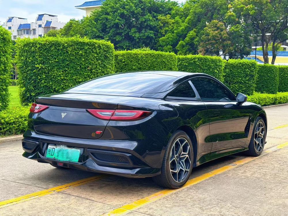 Neta Neta GT