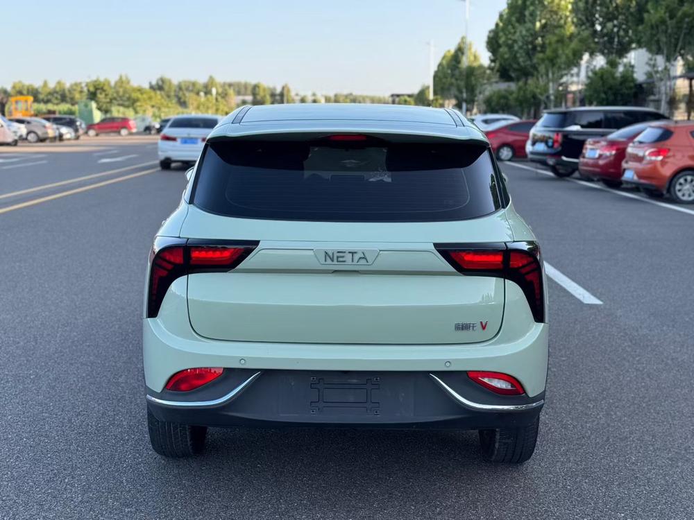 Neta Neta V