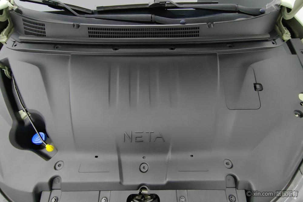 Neta Neta V