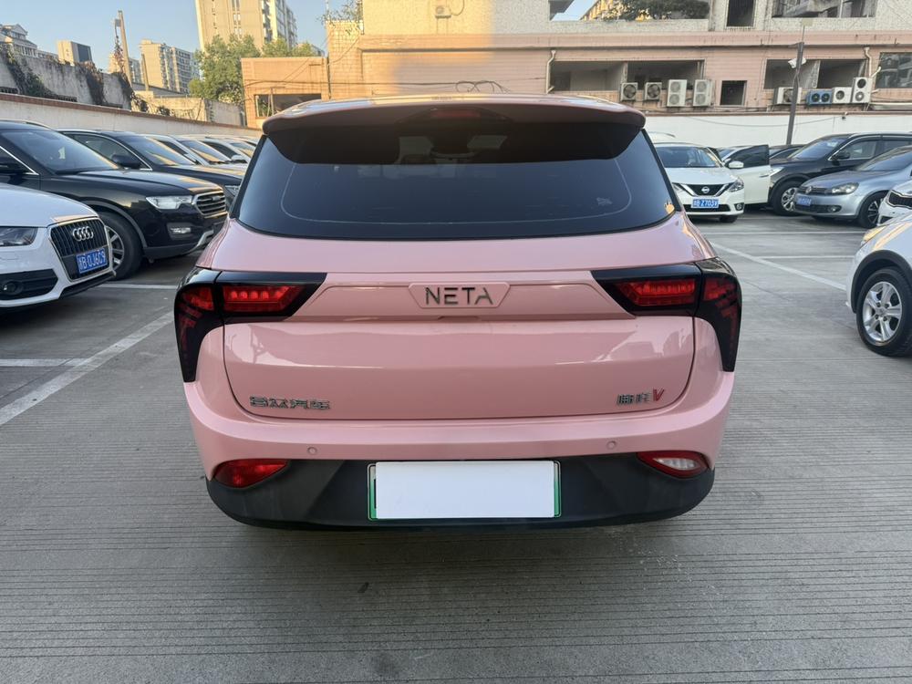 Neta Neta V