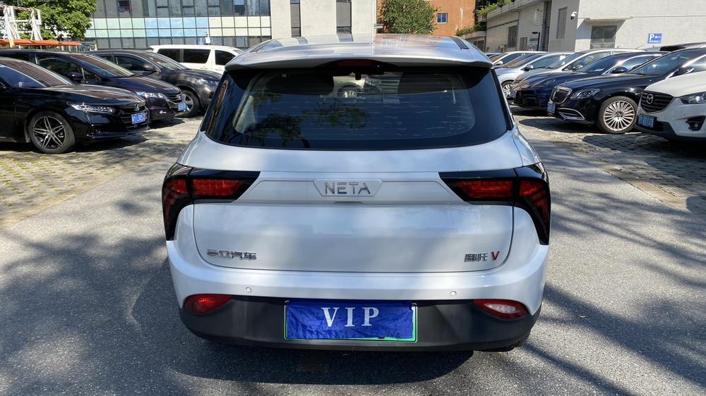 Neta Neta V