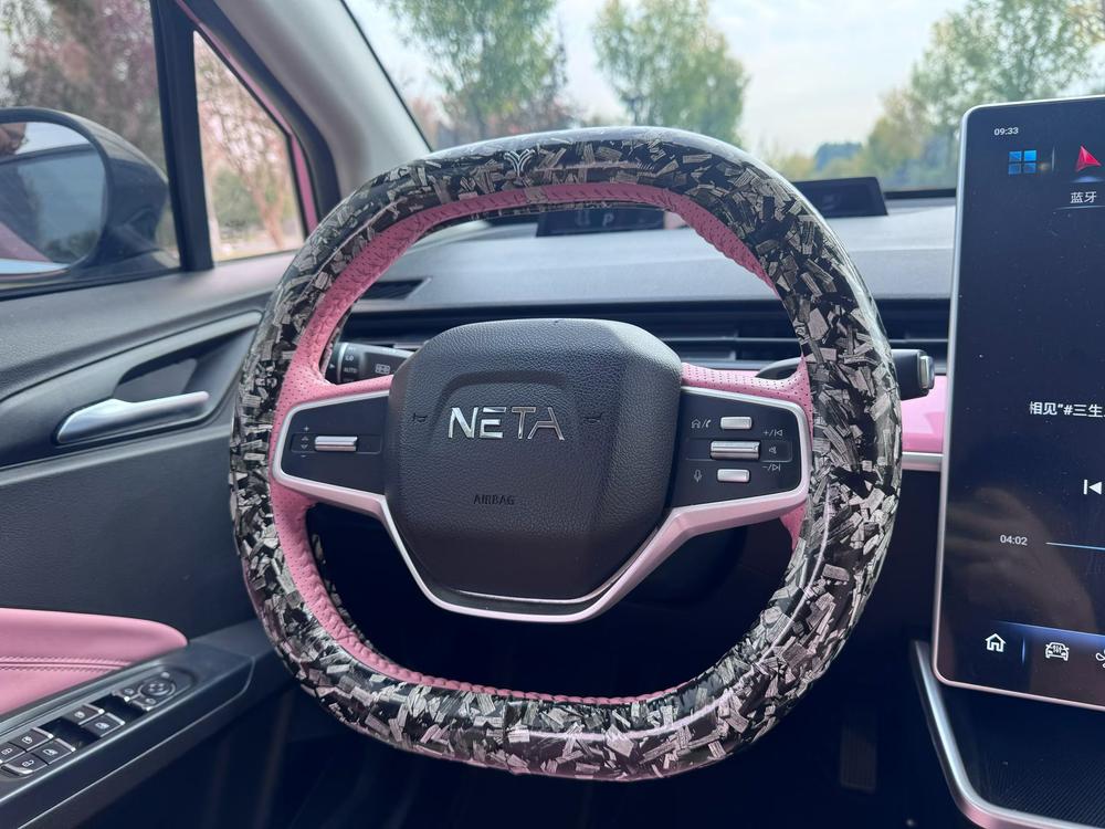 Neta Neta V