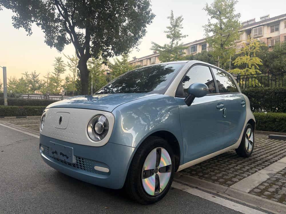 Ora Ora Black Cat