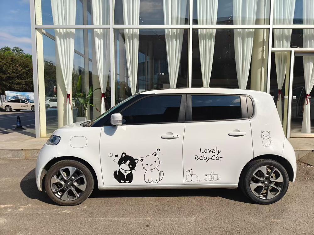 Ora Ora White Cat