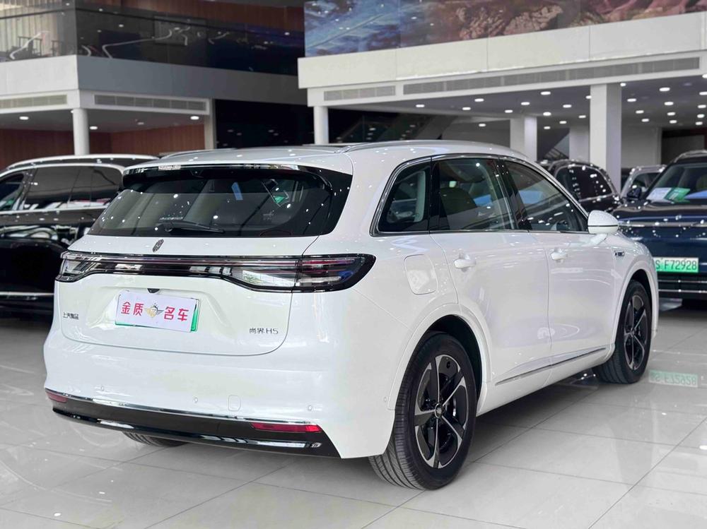 Shangjie Shangjie H5