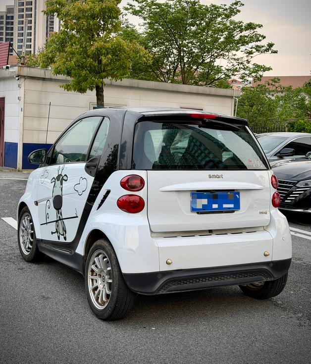Smart smart fortwo