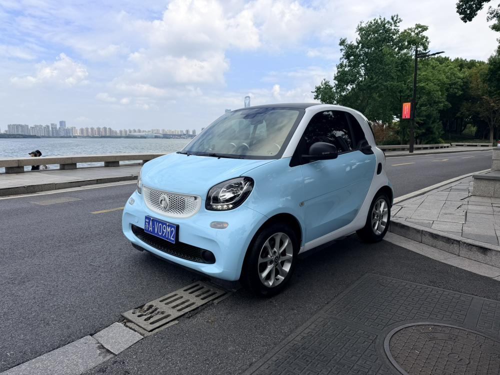 Smart smart fortwo