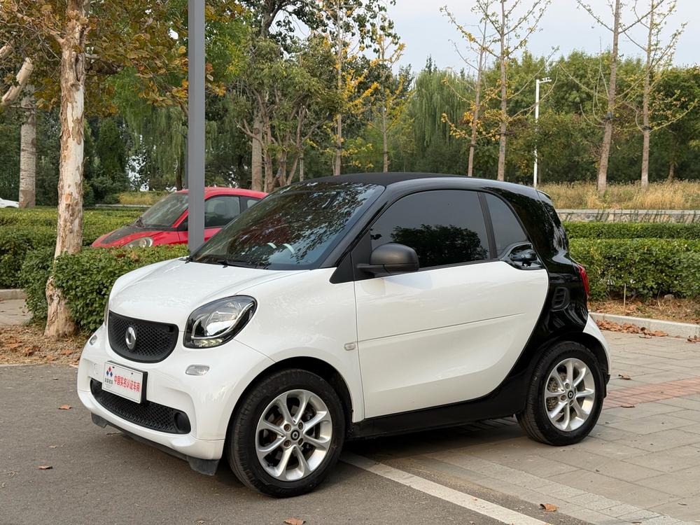 Smart smart fortwo
