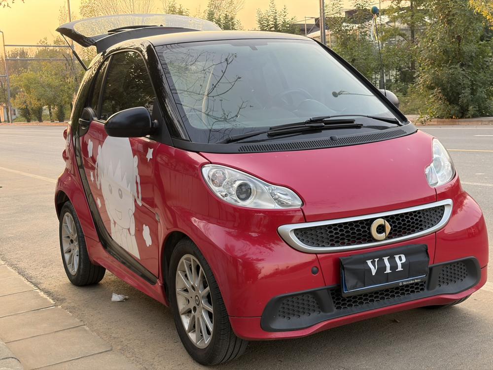 Smart smart fortwo
