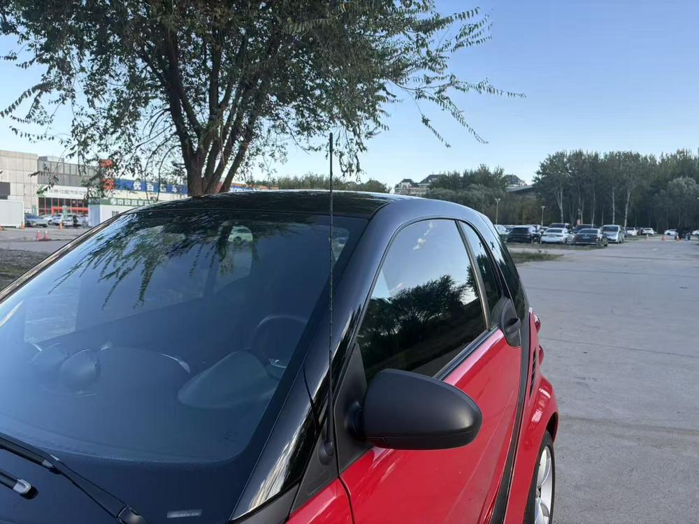 Smart smart fortwo