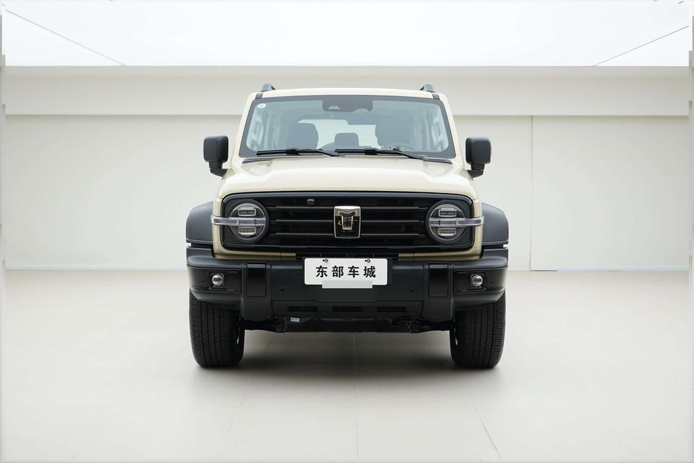 Tank Tank 300 Hi4-T