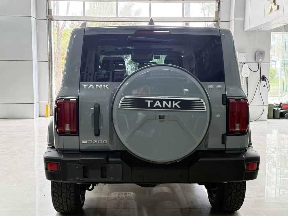 Tank Tank 300