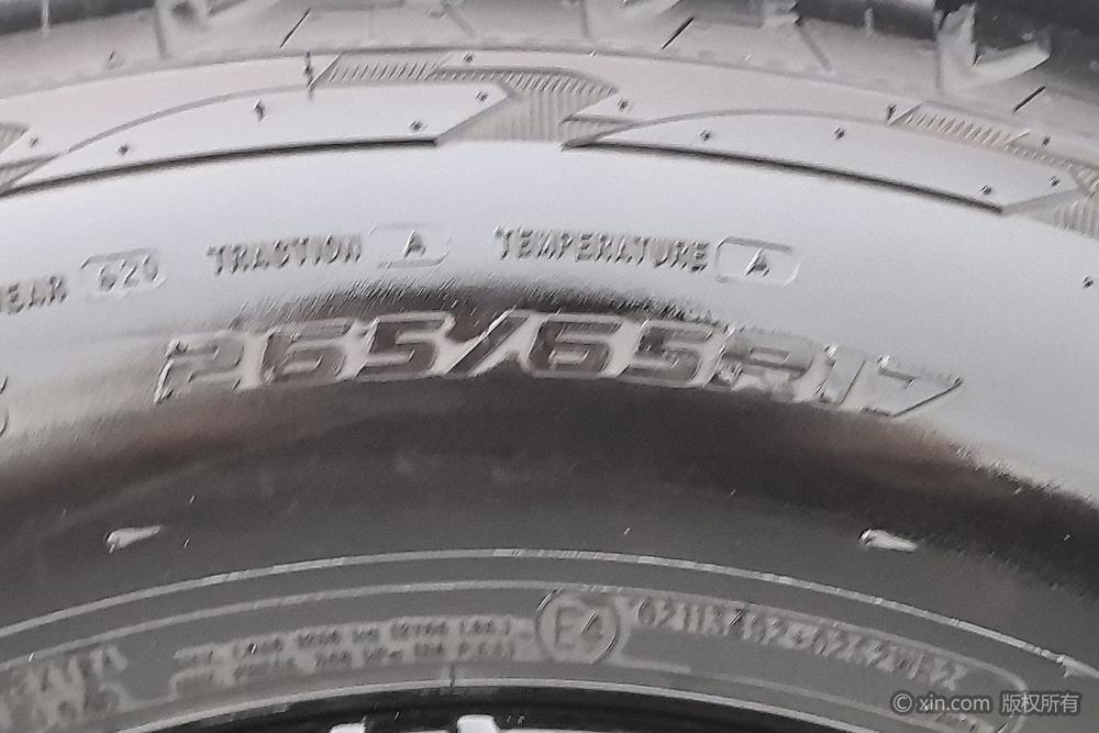 Tank Tank 300
