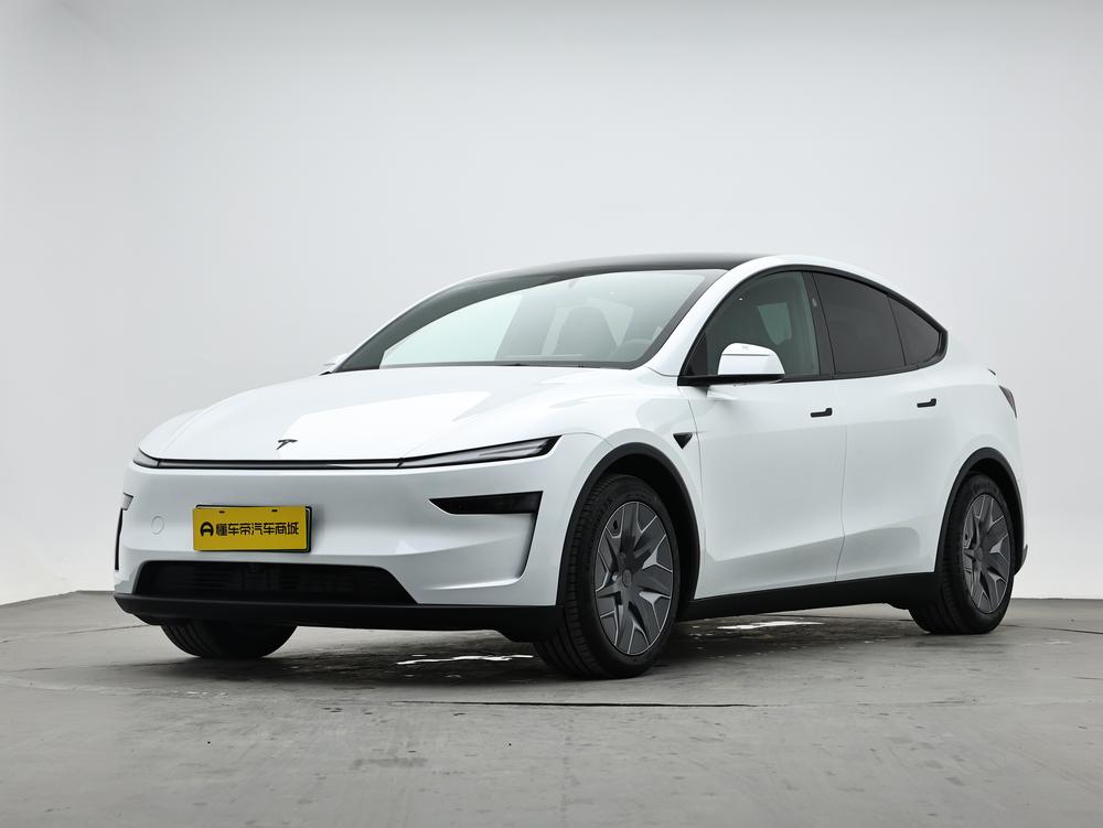 Tesla Model Y L