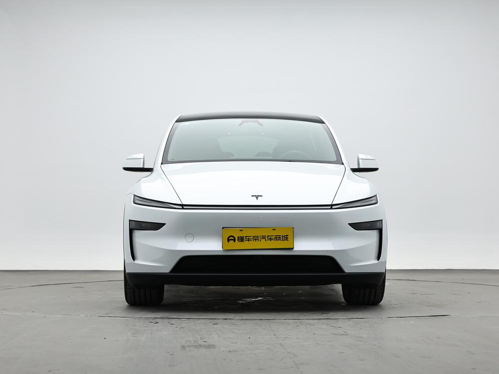 Tesla Model Y L