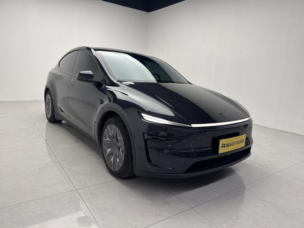 Tesla Model Y L