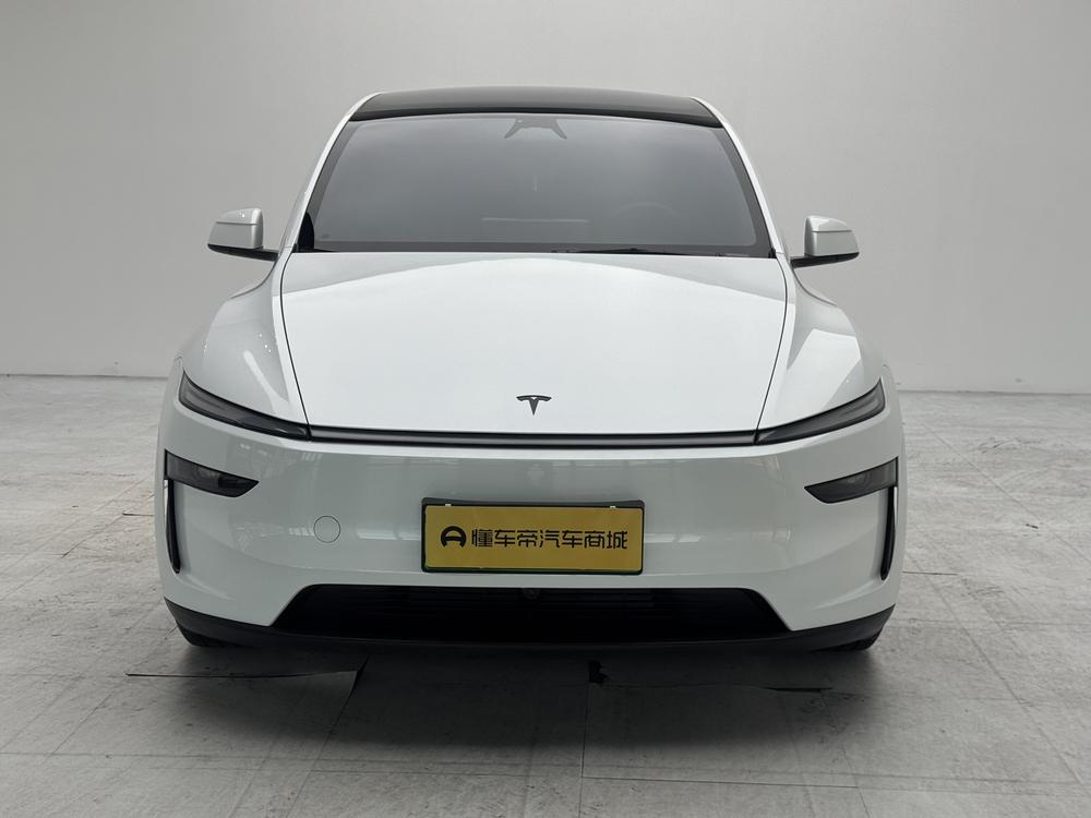 Tesla Model Y L