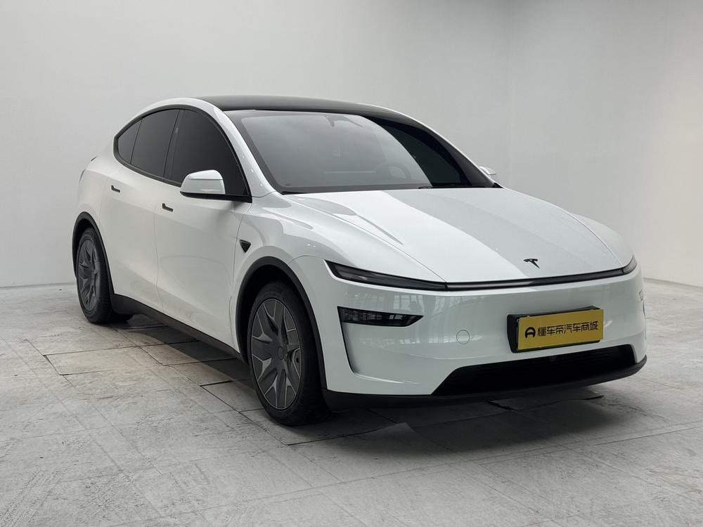 Tesla Model Y L