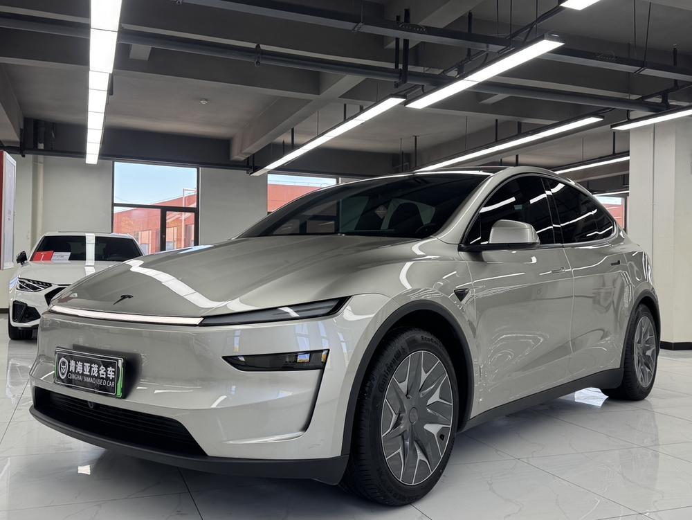Tesla Model Y L