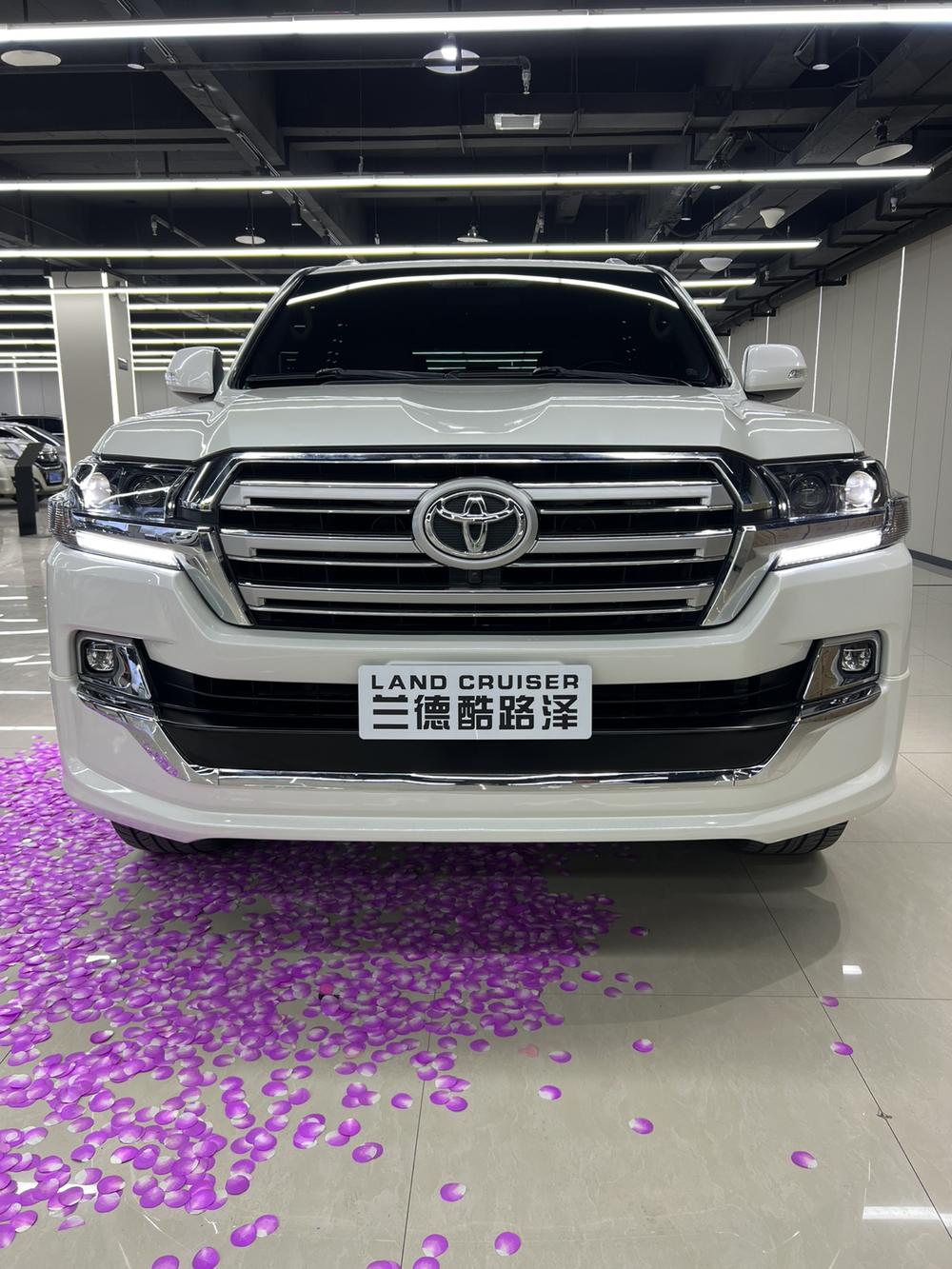 Toyota Land Cruiser (Import)