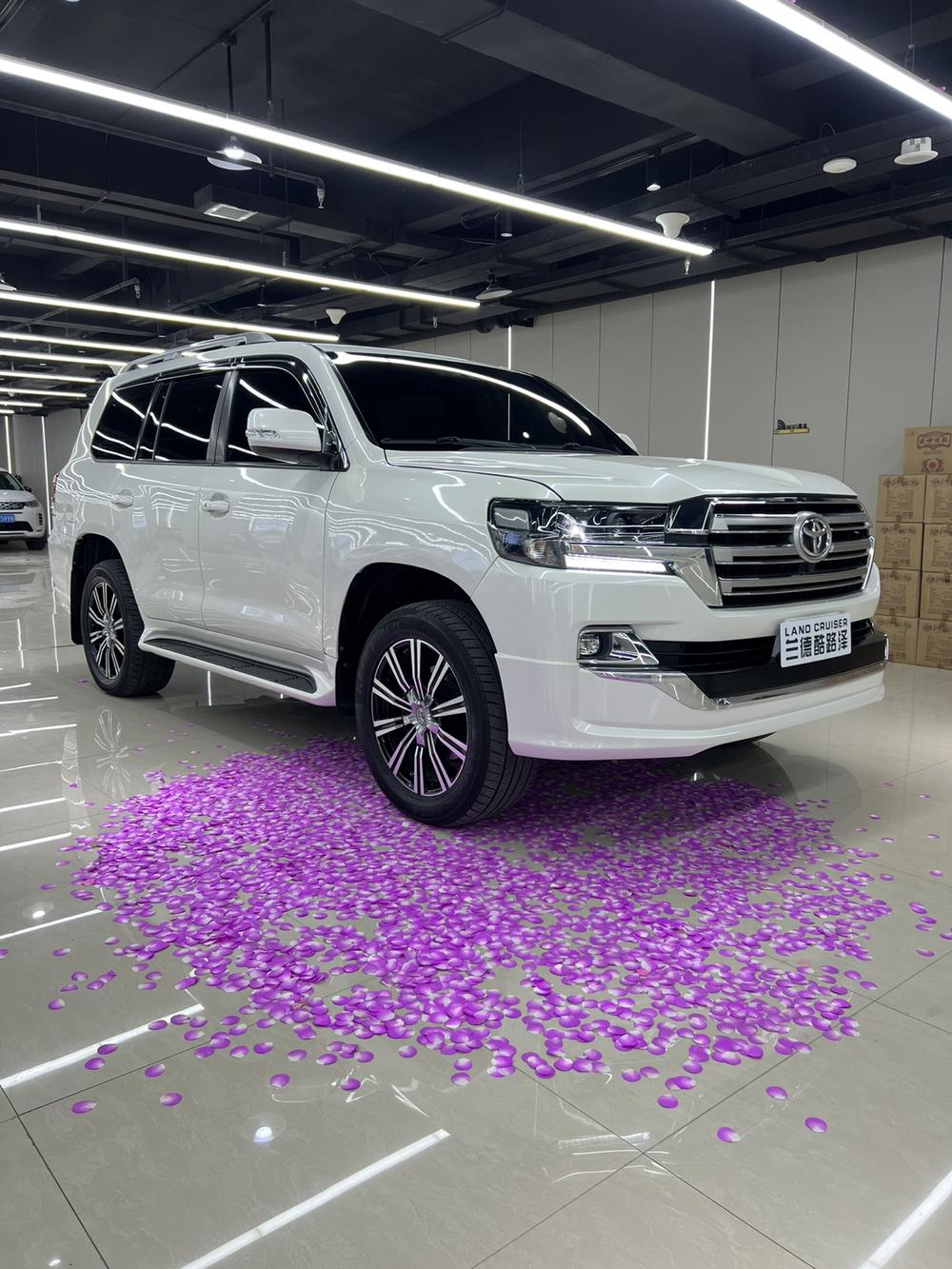 Toyota Land Cruiser (Import)