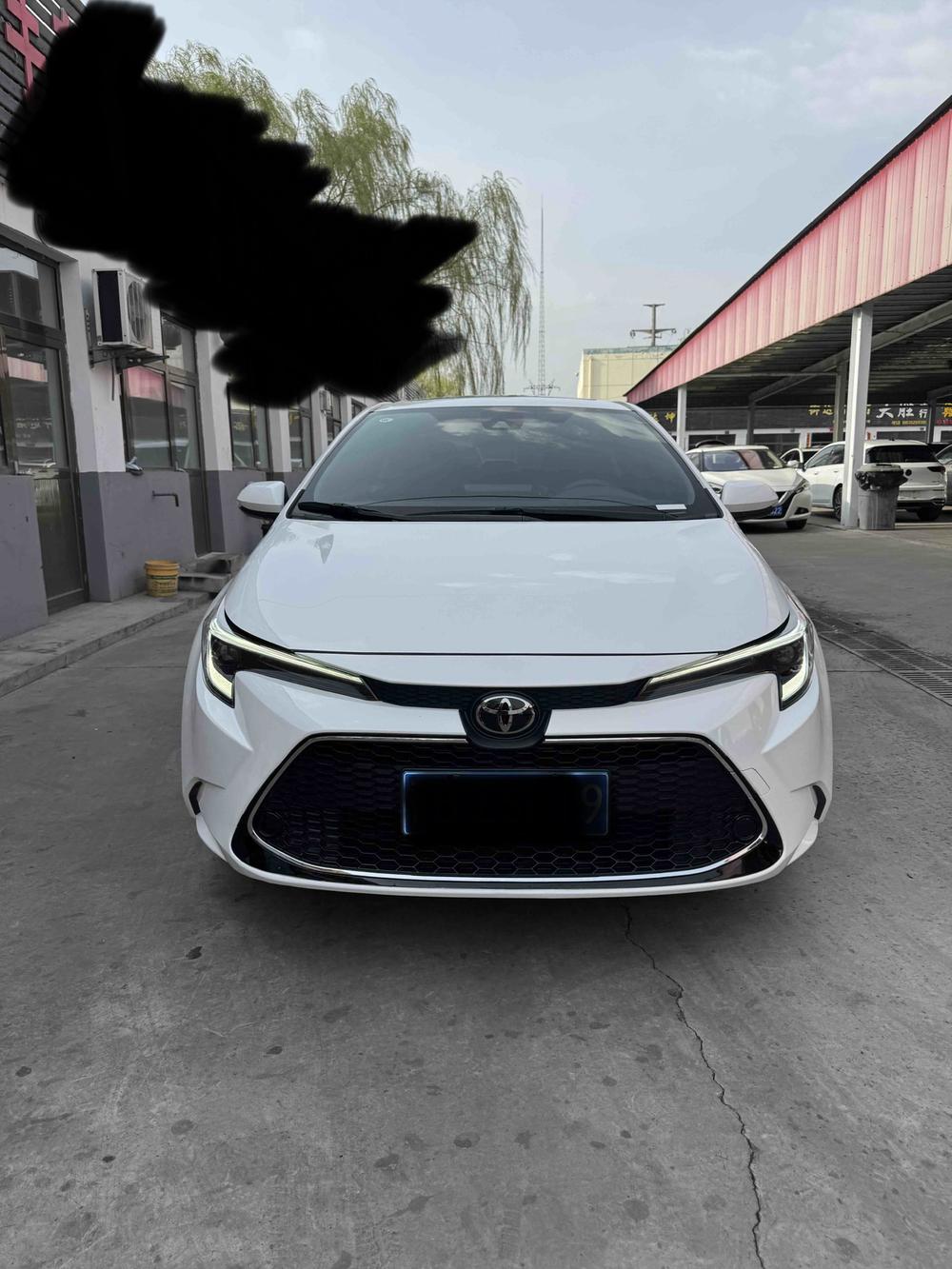 Toyota Levin