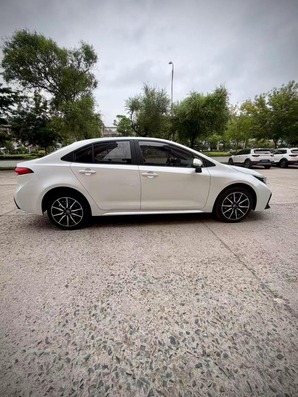 Toyota Levin