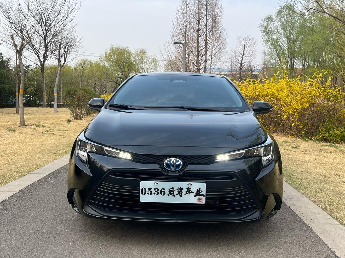 Toyota Levin