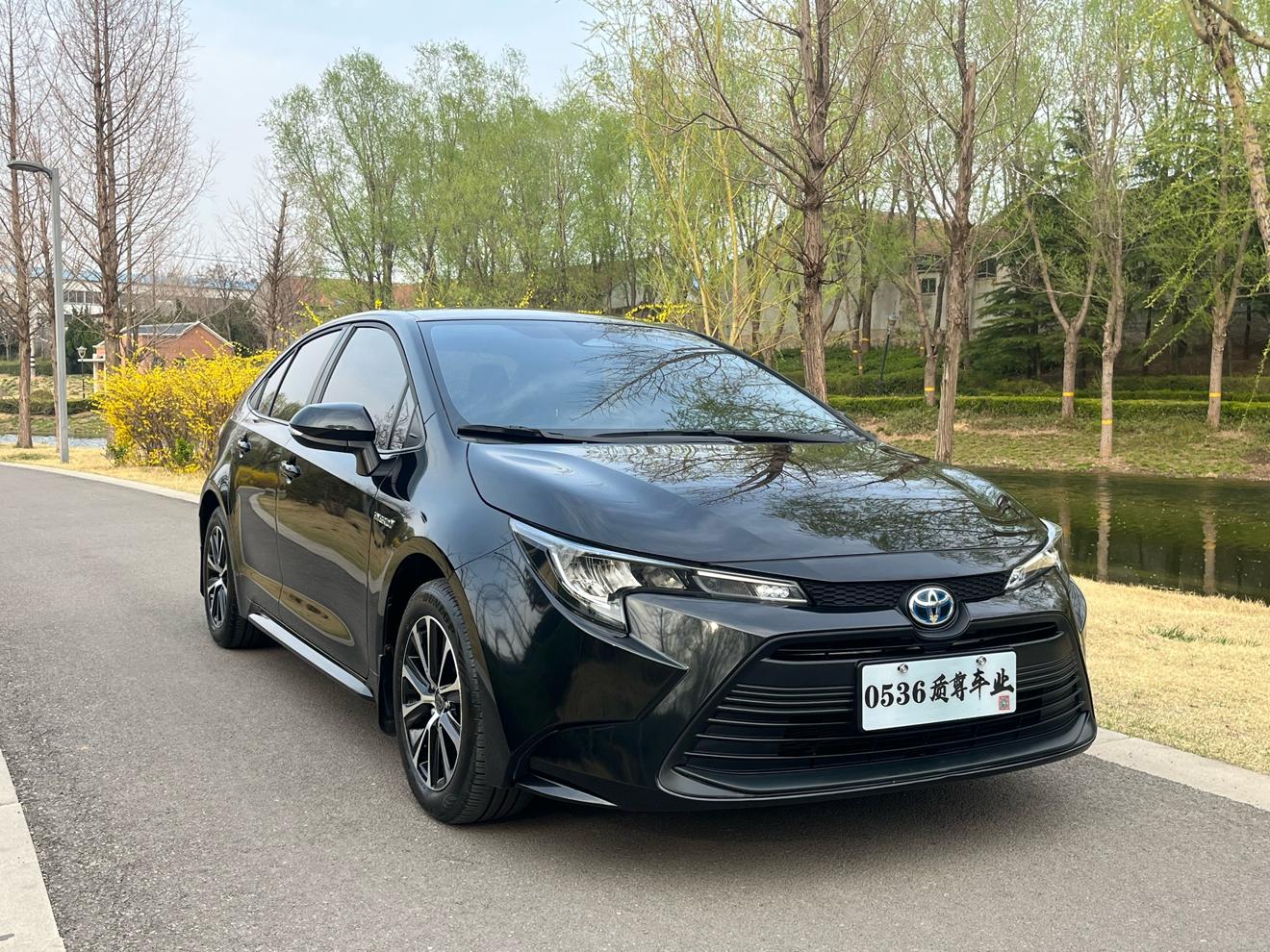 Toyota Levin