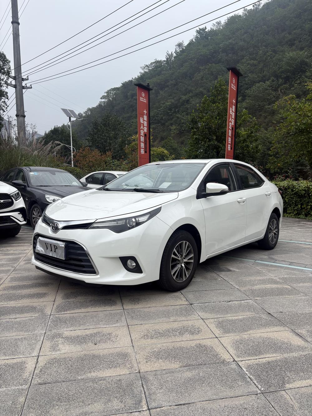 Toyota Levin