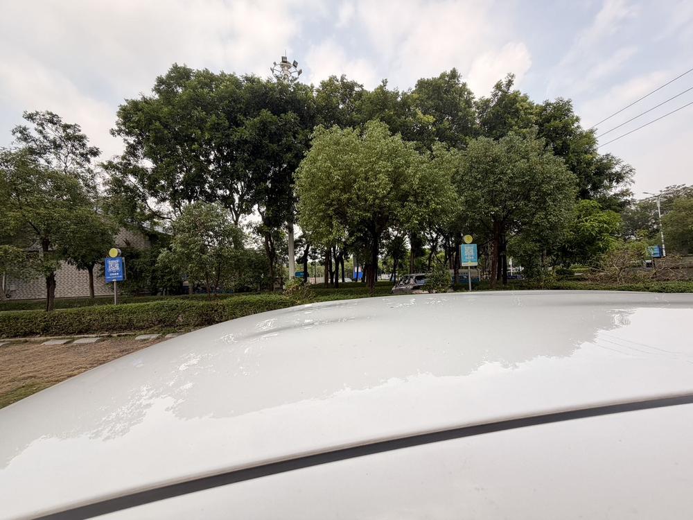 Toyota Vios FS