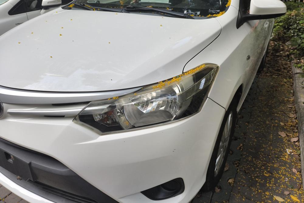 Toyota Vios