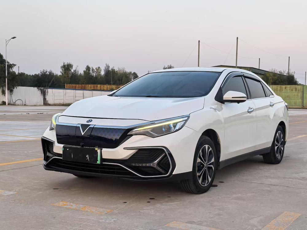 Venucia Venucia D60 EV