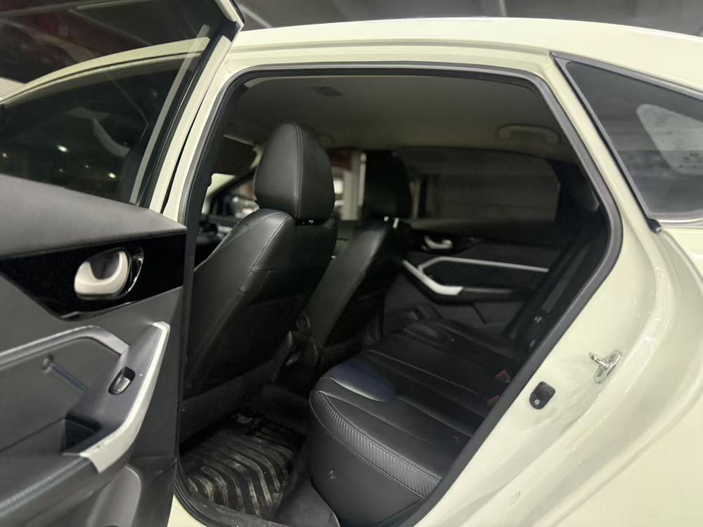 Venucia Venucia D60 EV