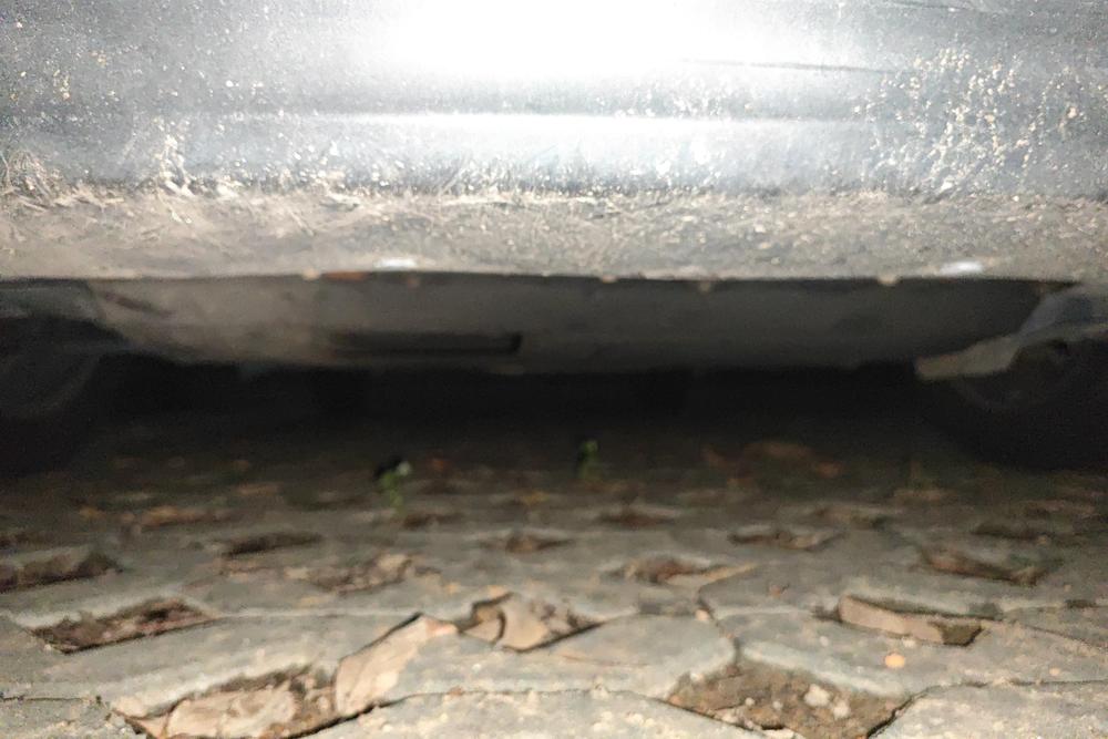 Venucia Venucia R50