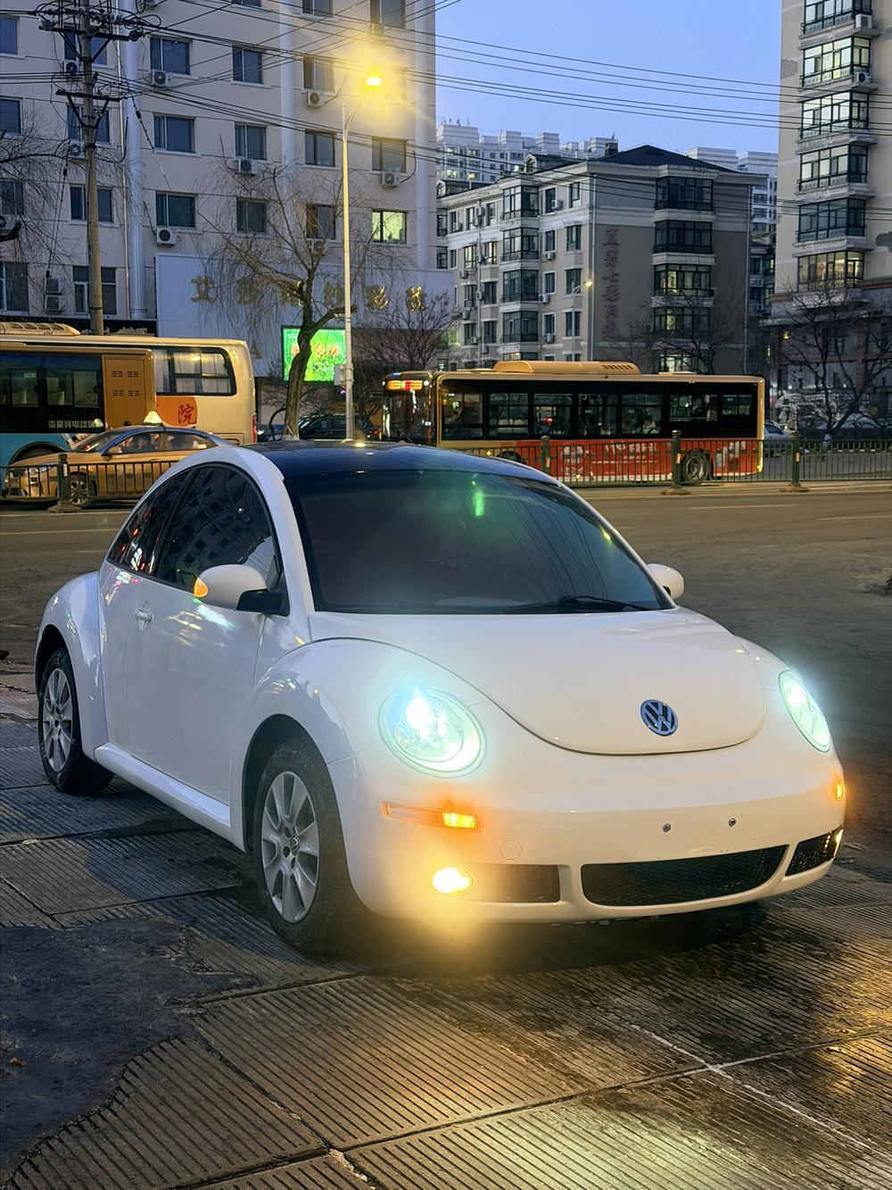 Volkswagen Beetle