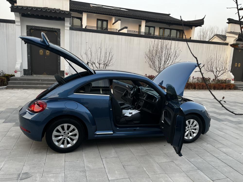 Volkswagen Beetle