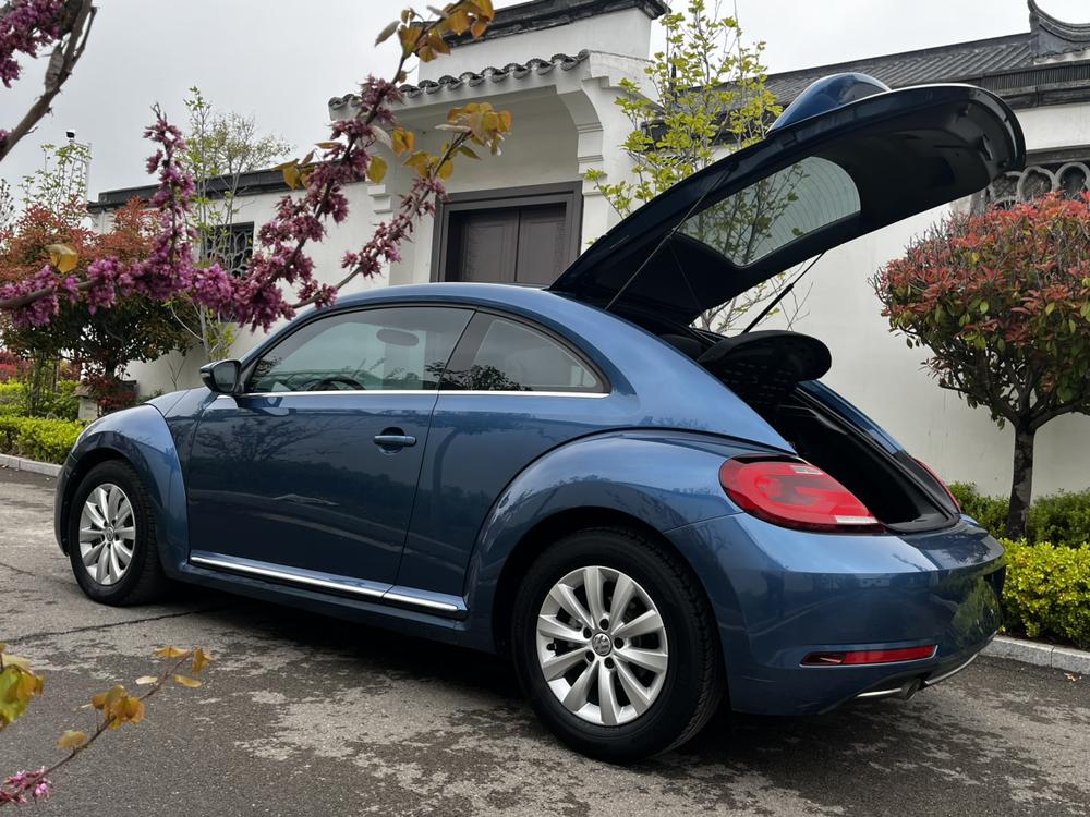 Volkswagen Beetle