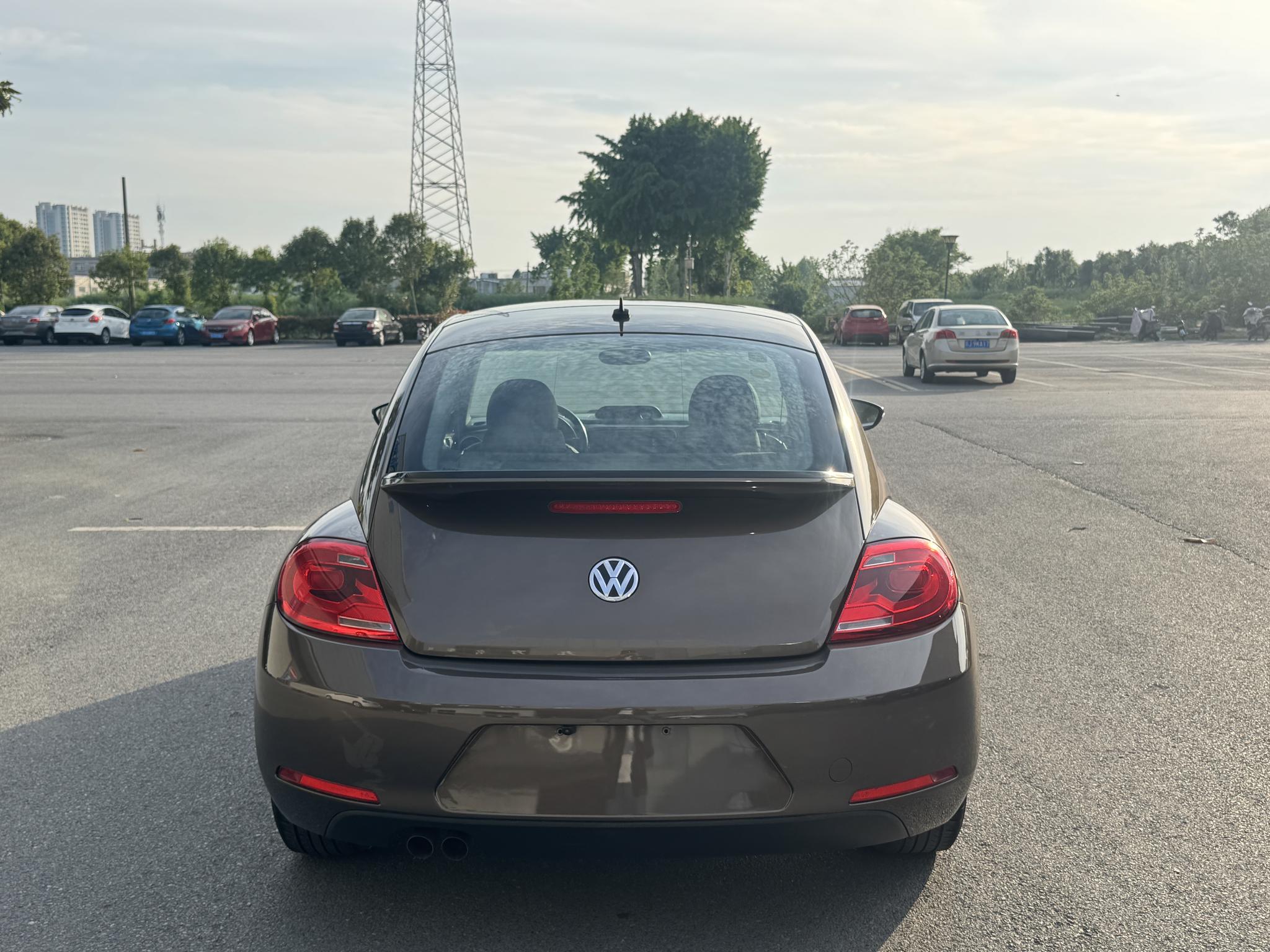 Volkswagen Beetle