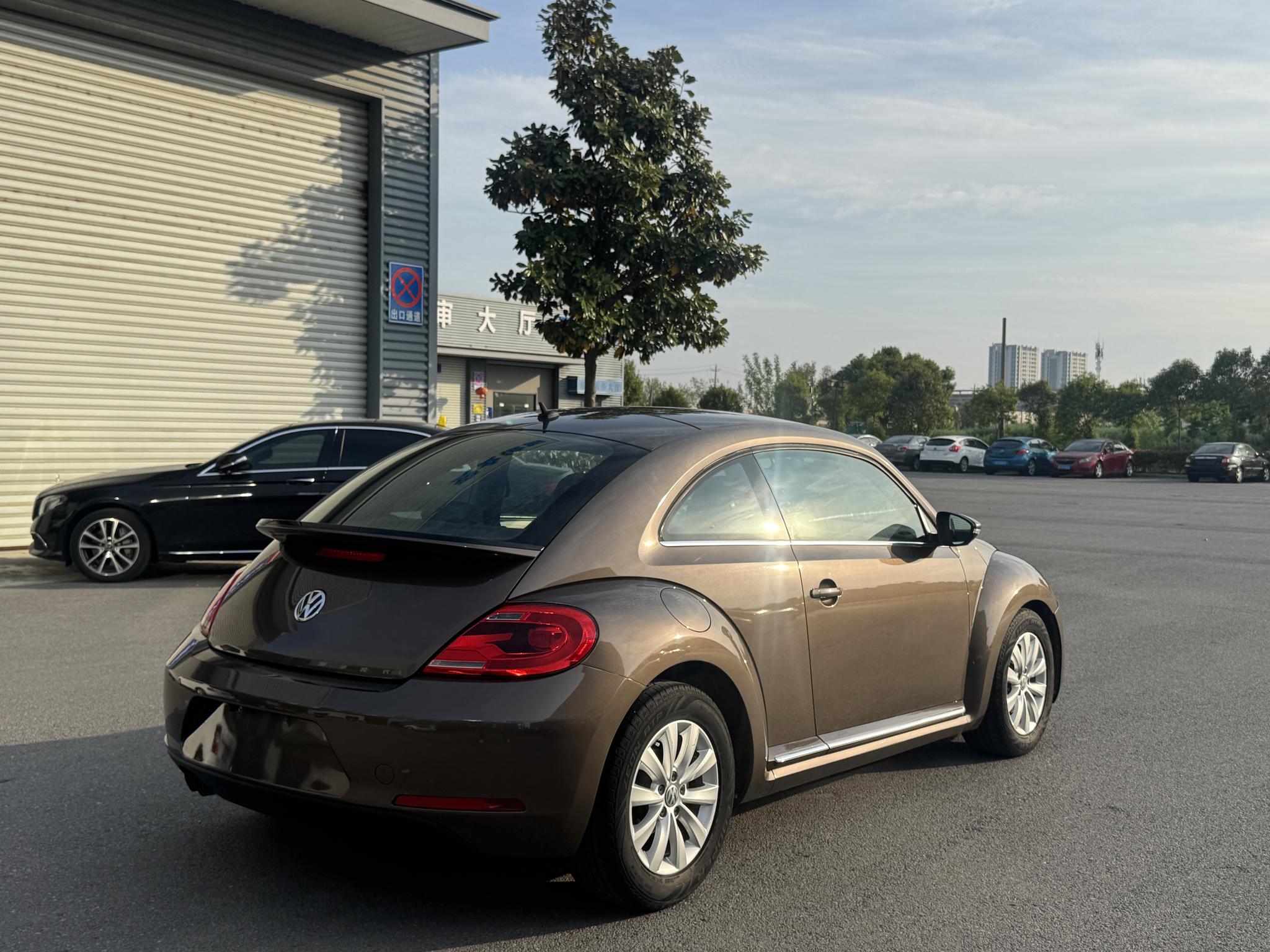 Volkswagen Beetle