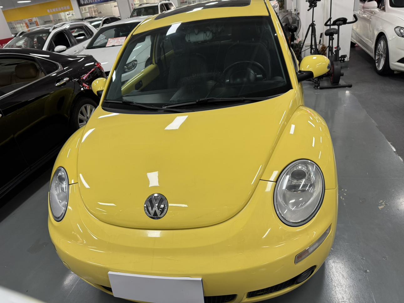 Volkswagen Beetle