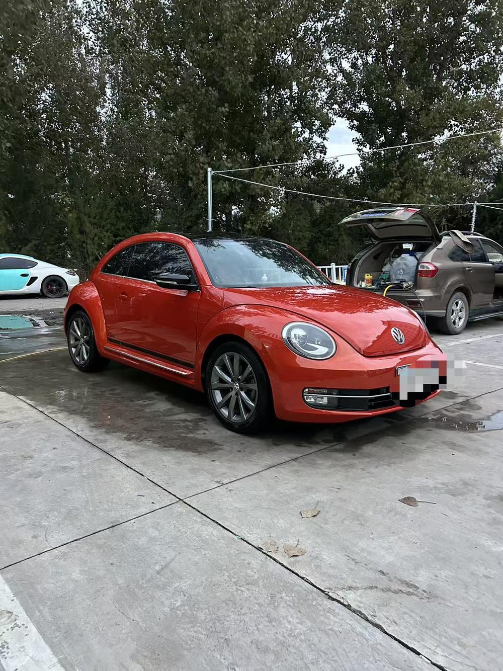 Volkswagen Beetle