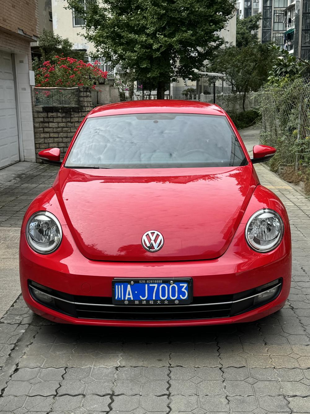 Volkswagen Beetle