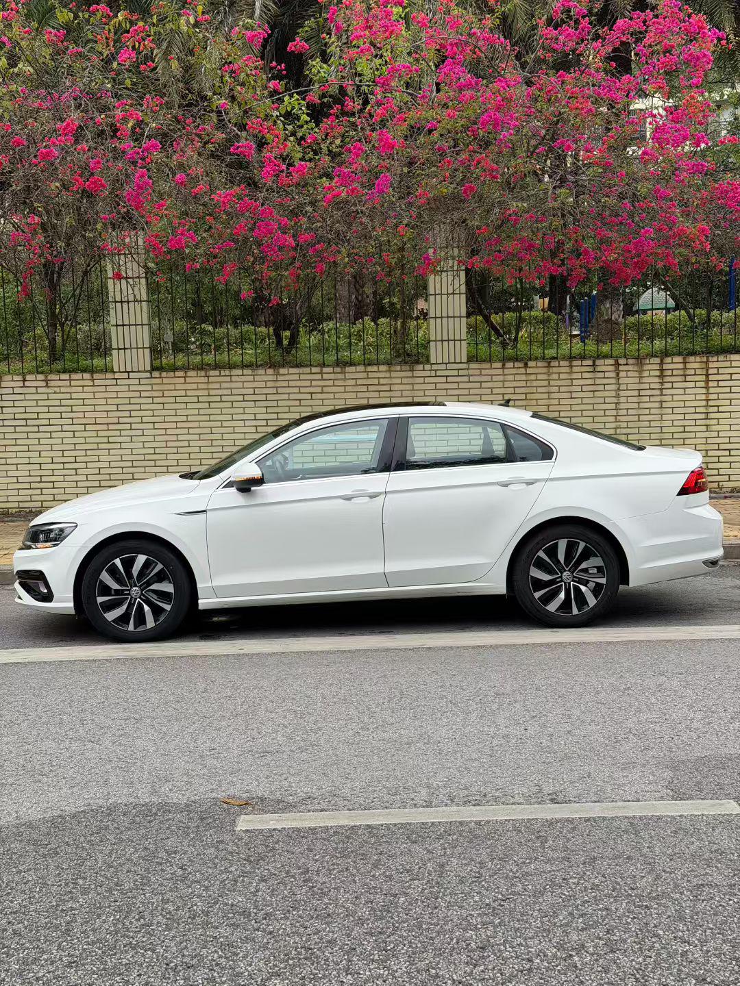 Volkswagen Lamando