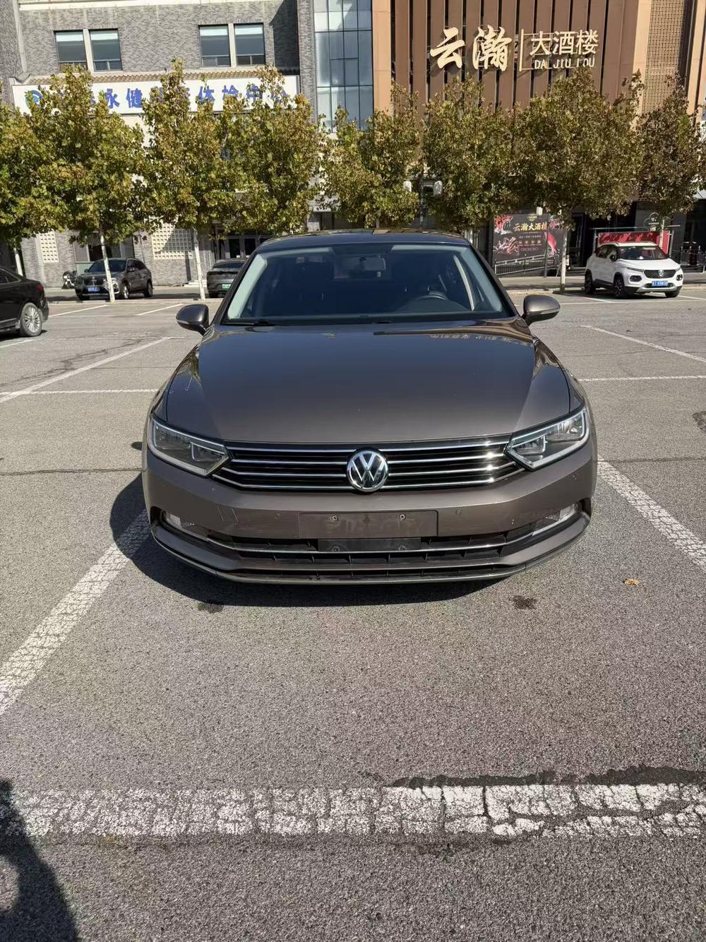 Volkswagen Magotan