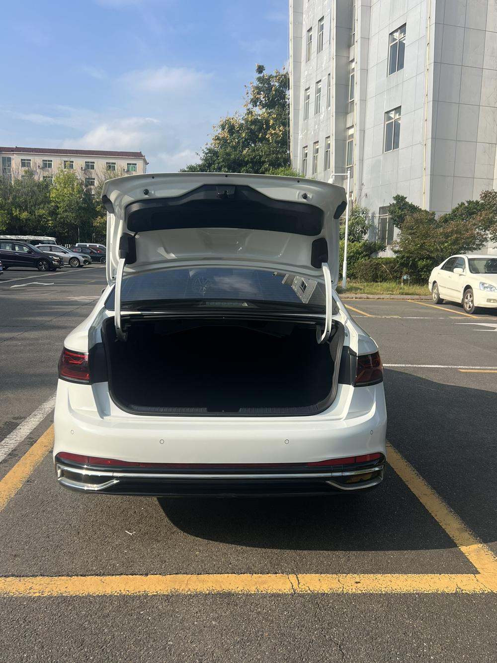Volkswagen Sagitar