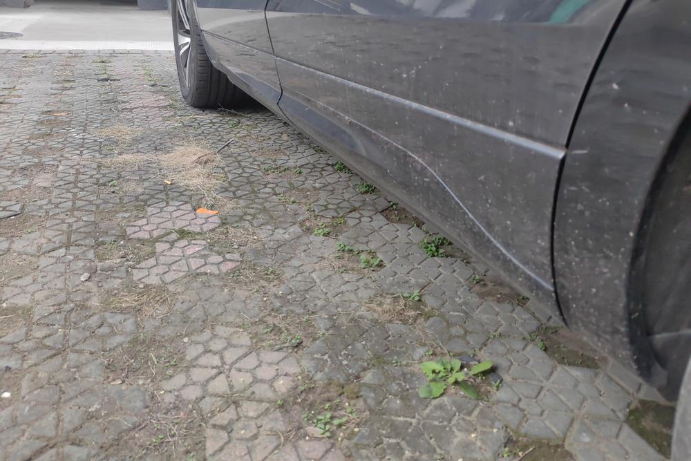 Volkswagen Talagon